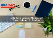 Daftar Kerja Sekarang Management Trainee Alfamart di Bengkulu Tahun 2025 5 Daftar Kerja Sekarang Management Trainee Alfamart di Bengkulu Tahun 2025
