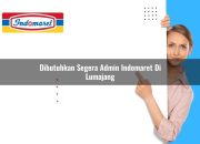 Dibutuhkan Segera Admin Indomaret di Lumajang Tahun 2025 4 Dibutuhkan Segera Admin Indomaret di Lumajang Tahun 2025