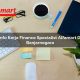 info kerja finance specialist alfamart di banjarnegara 1750163512