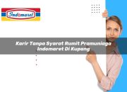 Karir Tanpa Syarat Rumit Pramuniaga Indomaret di Kupang Tahun 2025 7 Karir Tanpa Syarat Rumit Pramuniaga Indomaret di Kupang Tahun 2025