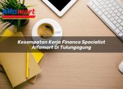 Kesempatan Kerja Finance Specialist Alfamart di Tulungagung Tahun 2025 7 Kesempatan Kerja Finance Specialist Alfamart di Tulungagung Tahun 2025