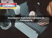 Kesempatan Kerja Kasir Indomaret di Tulungagung Tahun 2025 8 Kesempatan Kerja Kasir Indomaret di Tulungagung Tahun 2025