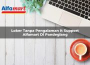 Loker Tanpa Pengalaman IT Support Alfamart di Pandeglang Tahun 2025 9 Loker Tanpa Pengalaman IT Support Alfamart di Pandeglang Tahun 2025