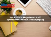 Loker Tanpa Pengalaman Staff Operasional Alfamart di Tulungagung Tahun 2025 12 Loker Tanpa Pengalaman Staff Operasional Alfamart di Tulungagung Tahun 2025