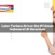 loker terbaru driver sim b1 umum indomaret di gorontalo 1749853393
