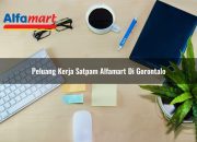 Peluang Kerja Satpam Alfamart di Gorontalo Tahun 2025 8 Peluang Kerja Satpam Alfamart di Gorontalo Tahun 2025