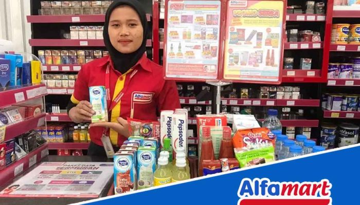 Gaji Administrative Staff Alfamart: Rincian Lengkap, Tugas, dan Tanggung Jawab