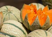 10 Manfaat Melon, Mengontrol Diabetes Sampai Agen Anti Kanker